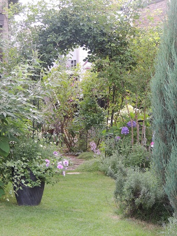 f0150620_17531343.jpg