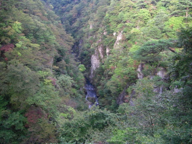 c0074721_16244922.jpg
