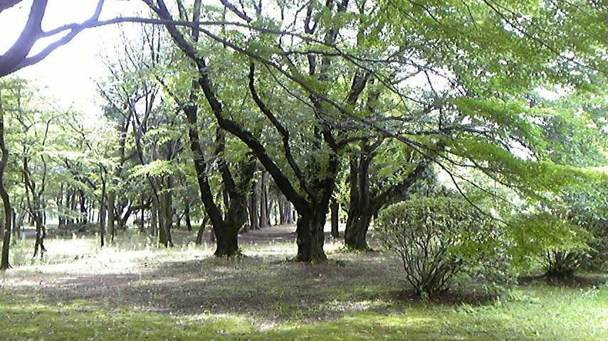 c0038722_1319646.jpg