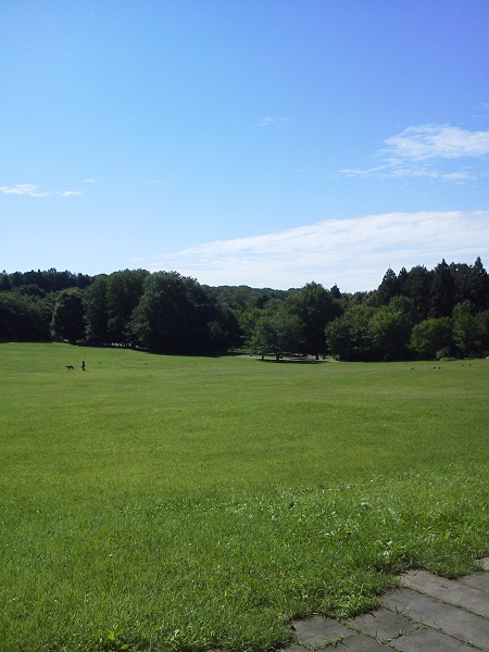 a0024829_1405199.jpg