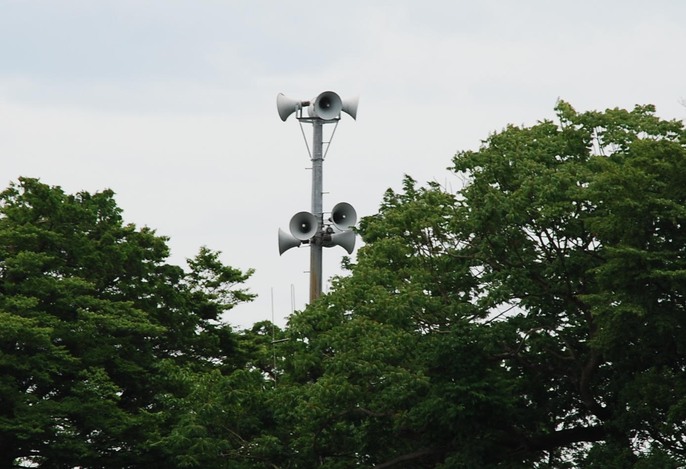 c0025130_10432697.jpg