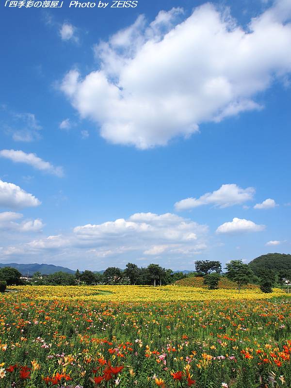 a0195032_1317737.jpg