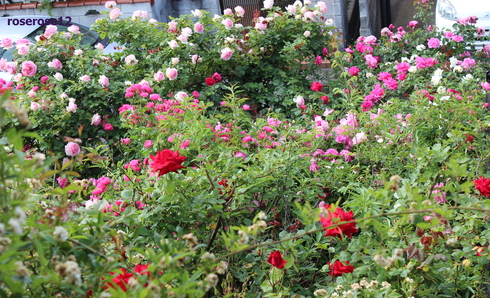a0249051_0263471.jpg