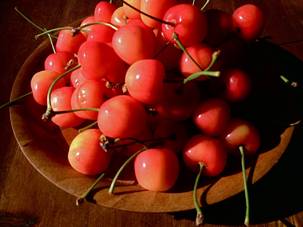 a0119252_2145177.jpg