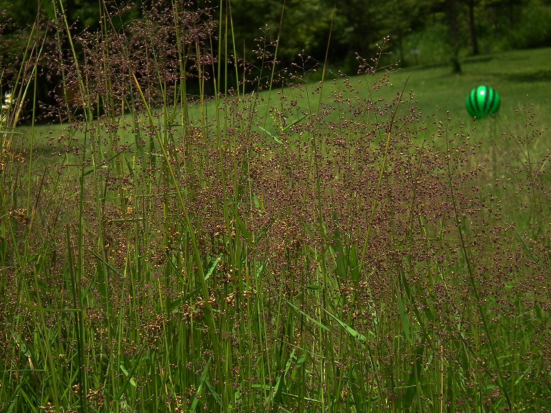 a0018655_19293913.jpg