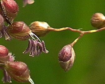 a0018655_1935899.jpg