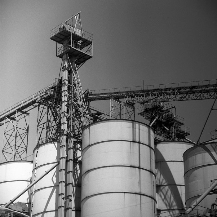 b0175964_21444940.jpg