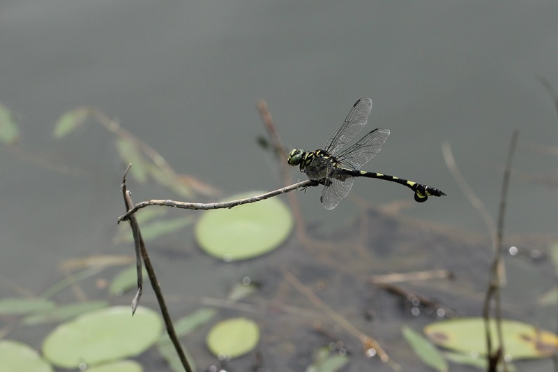 b0088772_6514577.jpg