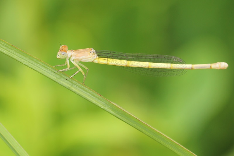 b0088772_651895.jpg