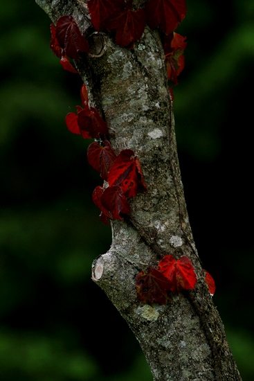d0126577_16252459.jpg
