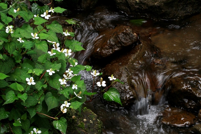 d0126577_16264381.jpg