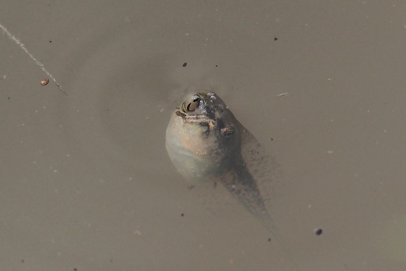 b0108186_1104485.jpg