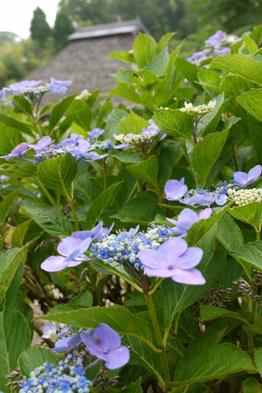 f0222692_1456743.jpg