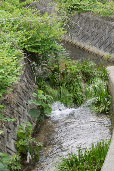 f0222692_1532454.jpg