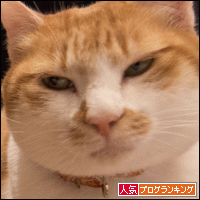 人気ブログランキングへ