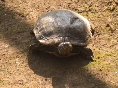 f0201297_143391.jpg
