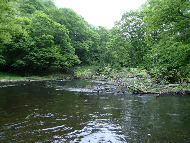 d0257201_5511911.jpg