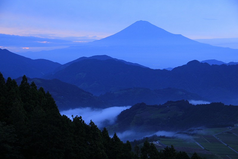 a0188405_6544566.jpg