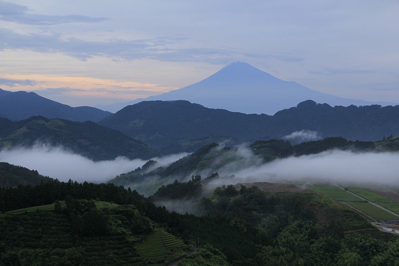 a0188405_6575339.jpg