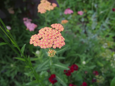 c0117007_2282743.jpg