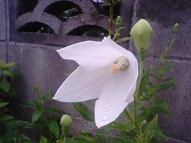 f0231709_1022165.jpg