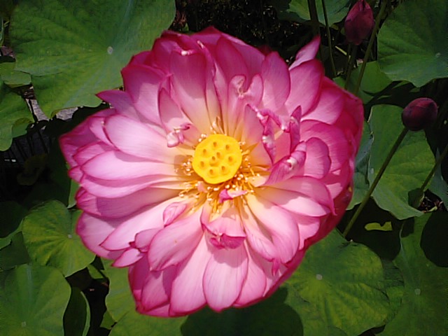 f0231709_1938688.jpg
