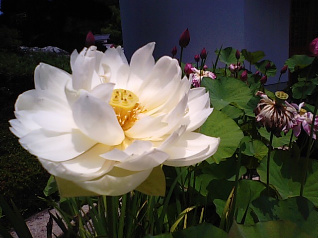 f0231709_1939666.jpg