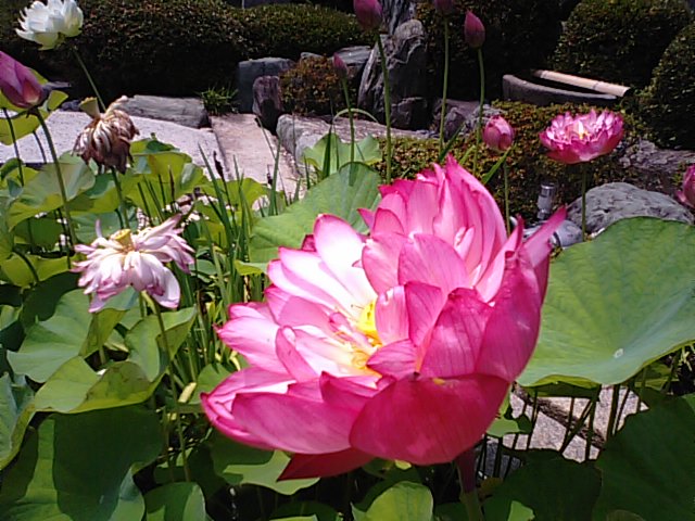 f0231709_19421734.jpg