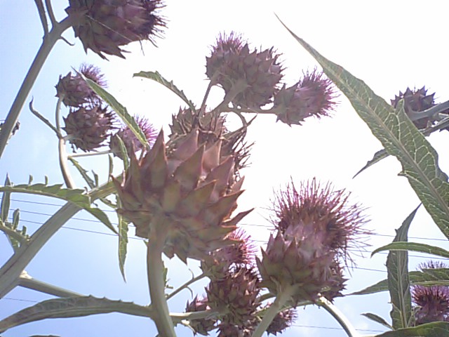 f0231709_21195340.jpg