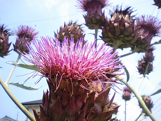 f0231709_2119631.jpg