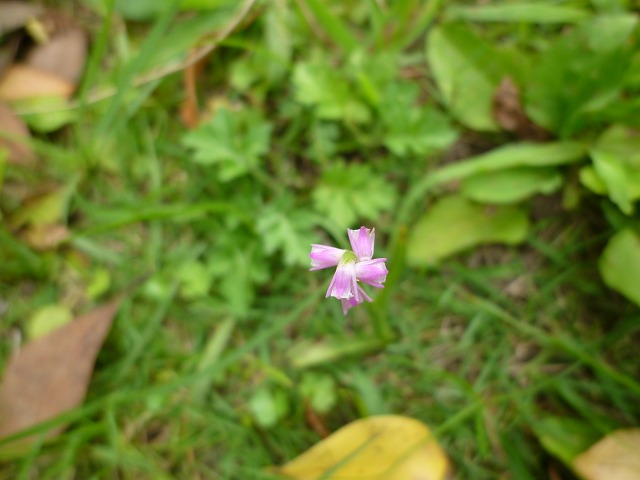 d0037110_21262829.jpg