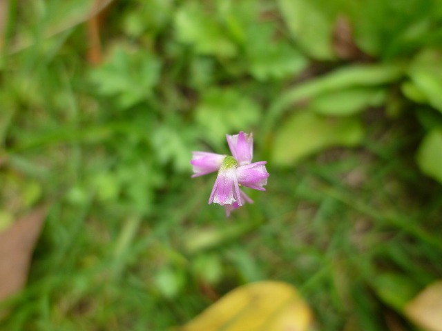 d0037110_21263964.jpg