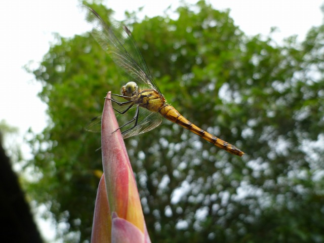 d0037110_2127148.jpg