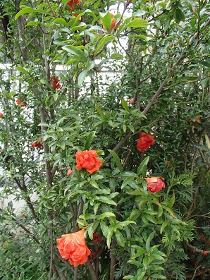 a0156611_6595393.jpg
