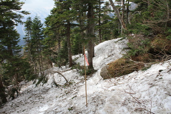 b0093515_23382664.jpg