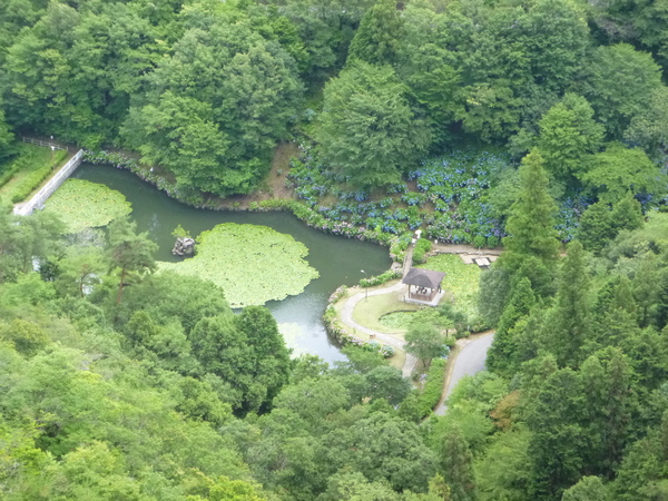 d0170615_107331.jpg