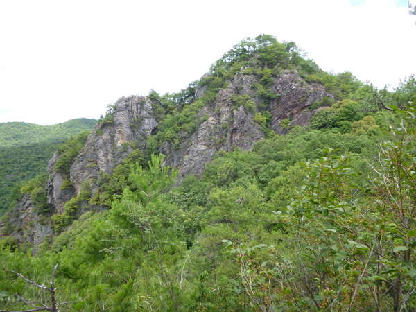 d0170615_1081082.jpg