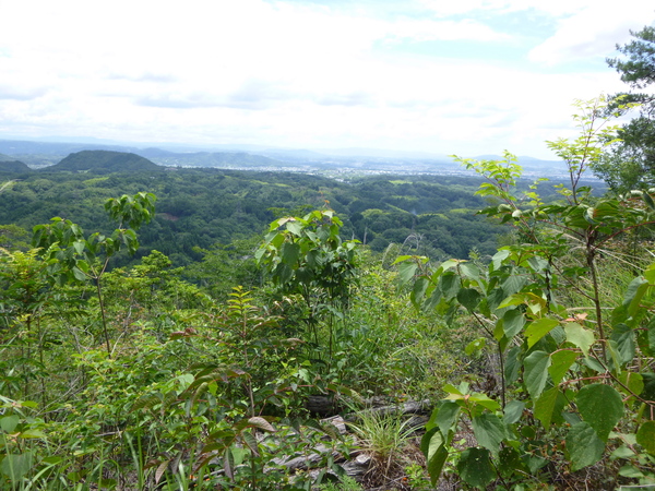 d0170615_1081979.jpg