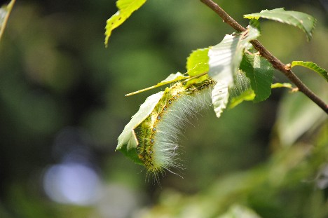 c0152317_21393773.jpg