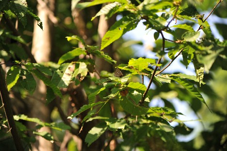 c0152317_2141436.jpg