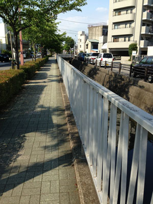 c0227720_195296.jpg
