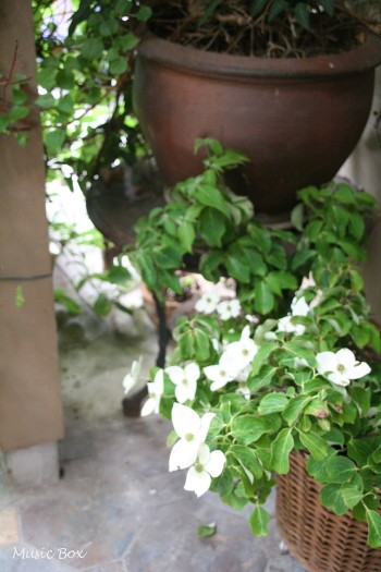c0071221_12455455.jpg