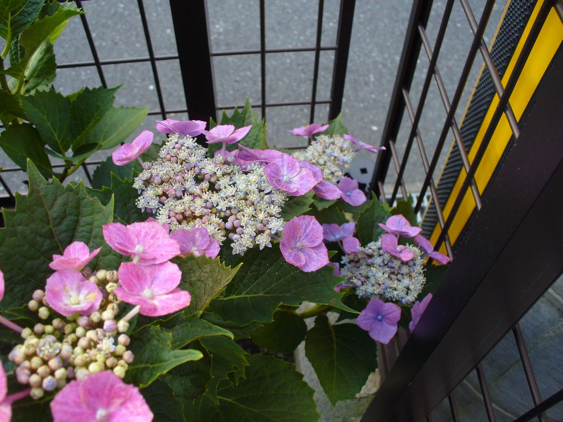 f0275632_2243532.jpg
