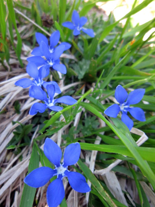 f0234936_65918.jpg