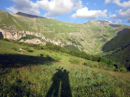 f0234936_705676.jpg