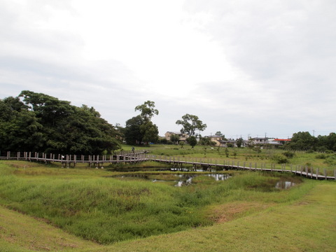 b0199742_16225077.jpg