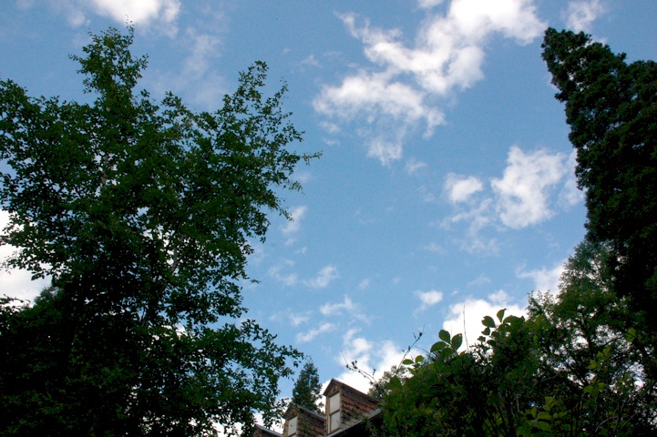 c0002943_10191699.jpg