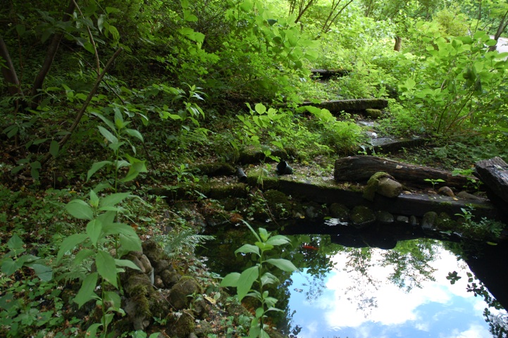 c0002943_10285010.jpg