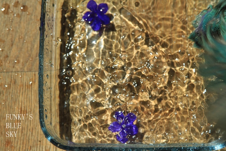 c0145250_11361032.jpg
