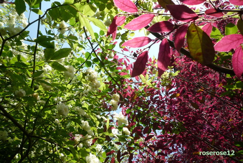a0249051_002957.jpg